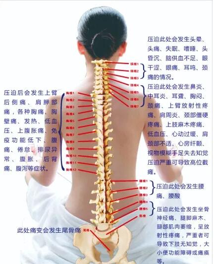 保護腰椎—示范腰椎保健操，趕快收藏吧