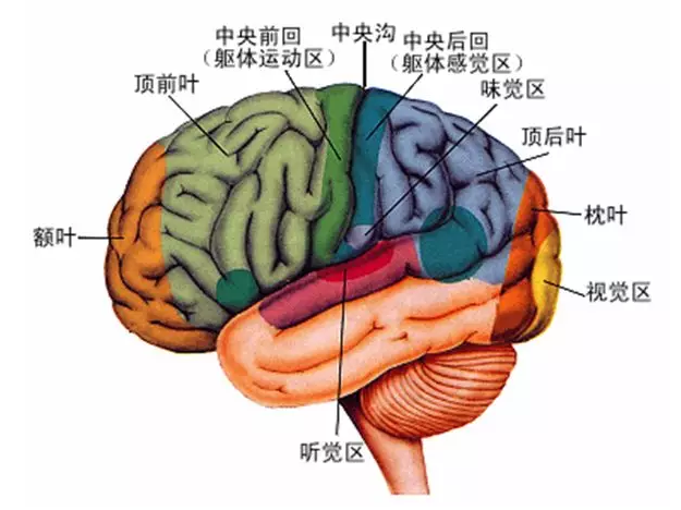經(jīng)顱磁刺激治療你知道多少？