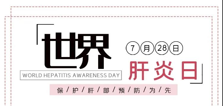世界肝炎日——積極預(yù)防，主動檢測，規(guī)范治療，全面遏制肝炎危害！